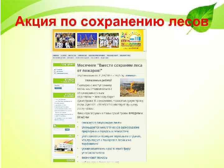 Акция по сохранению лесов 