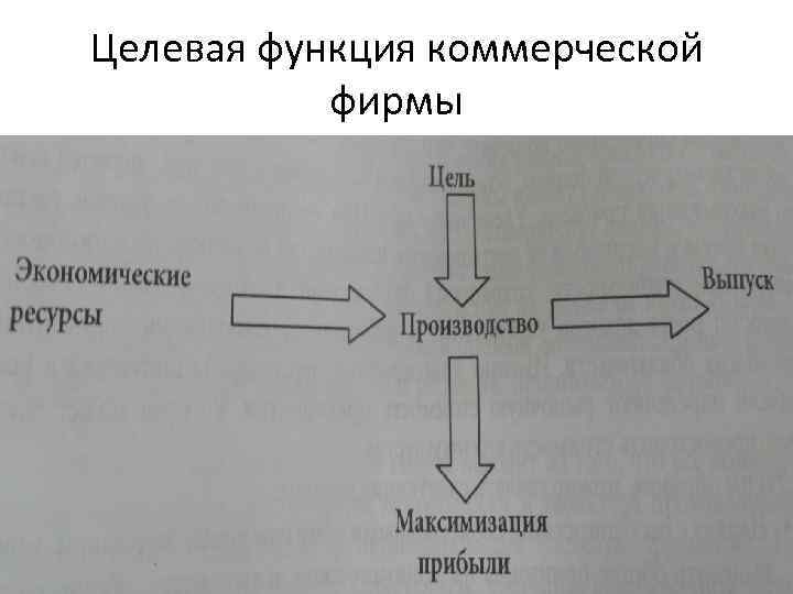Целевая функция коммерческой фирмы 