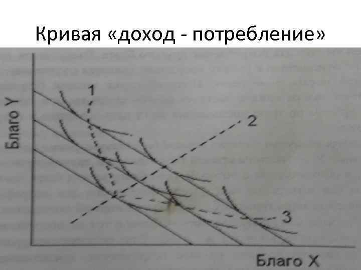Кривая «доход - потребление» 