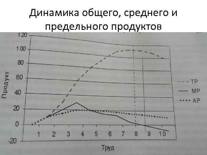 Динамика общего, среднего и предельного продуктов 