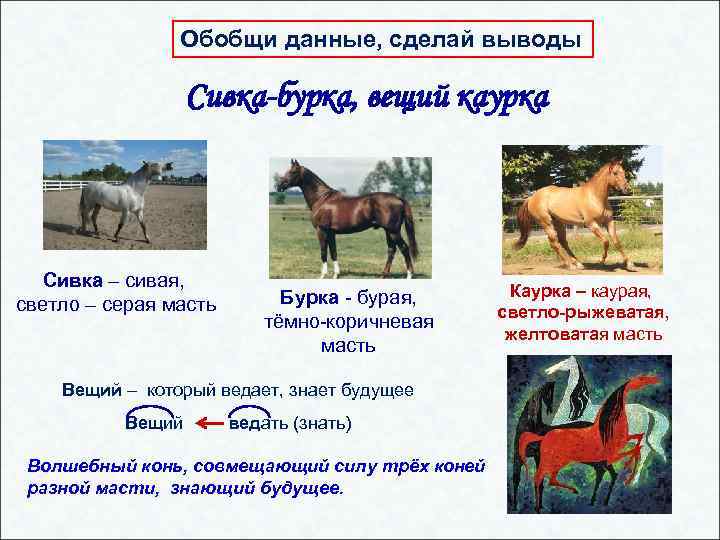Обобщи данные, сделай выводы Сивка-бурка, вещий каурка Сивка – сивая, светло – серая масть