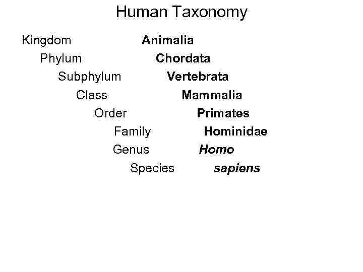 Human Taxonomy Kingdom Animalia Phylum Chordata Subphylum Vertebrata Class Mammalia Order Primates Family Hominidae
