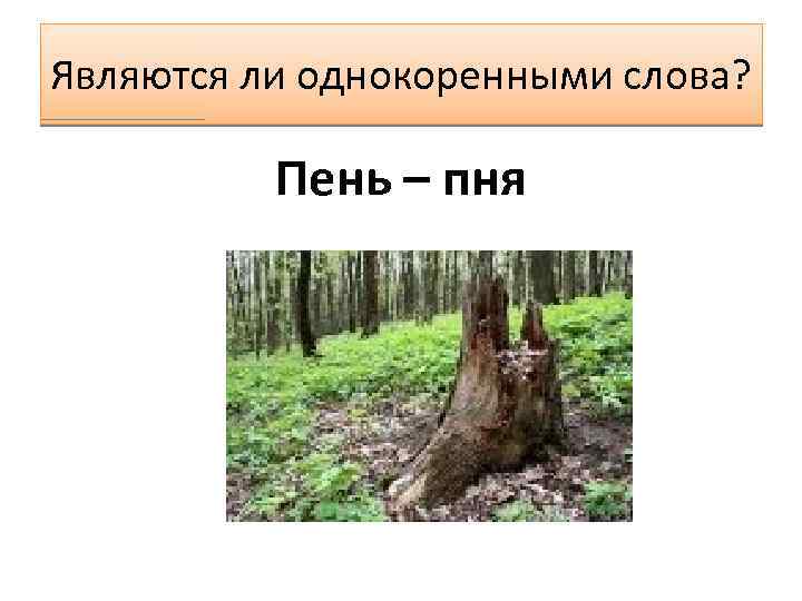 Являются ли однокоренными слова? Пень – пня 