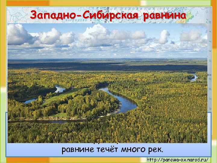 Северо сибирская низменность фото