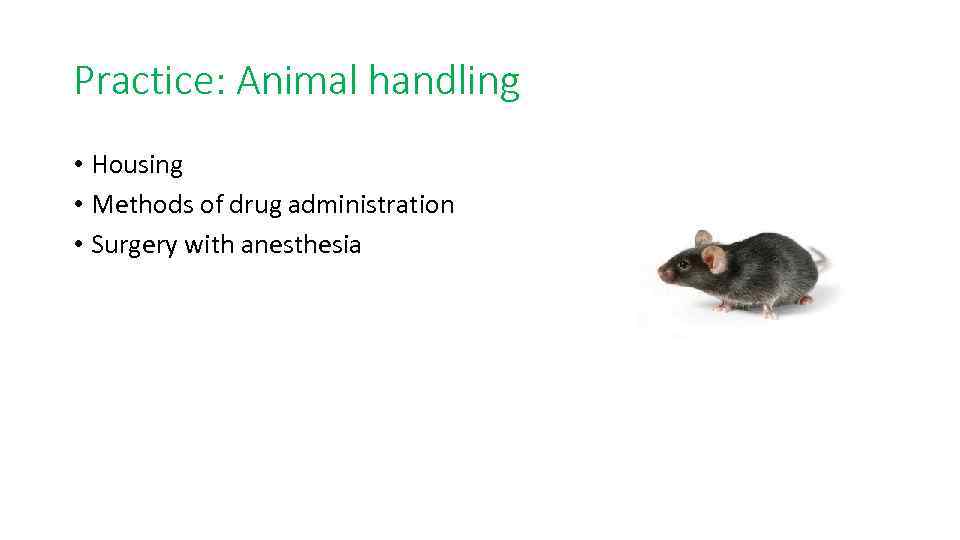 Practice: Animal handling • Housing • Methods of drug administration • Surgery with anesthesia
