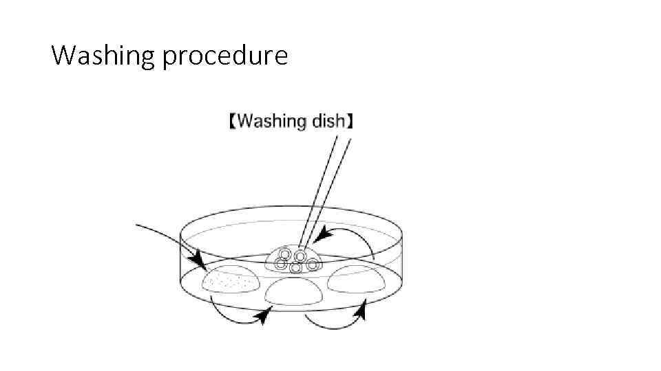 Washing procedure 
