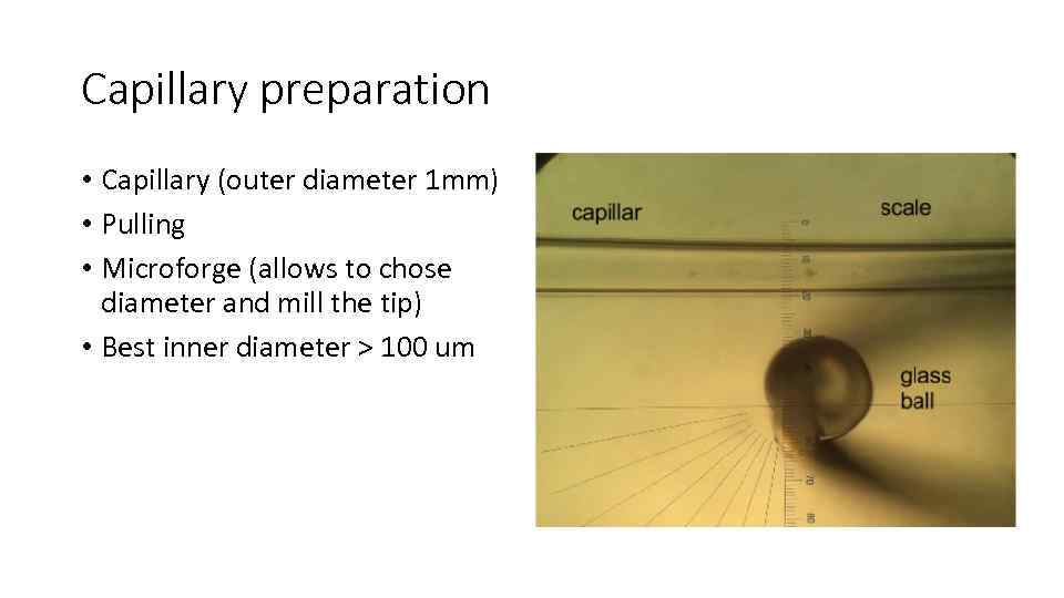 Capillary preparation • Capillary (outer diameter 1 mm) • Pulling • Microforge (allows to