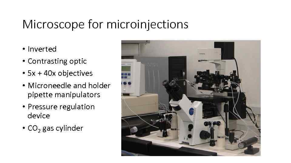 Microscope for microinjections • Inverted • Contrasting optic • 5 x + 40 x