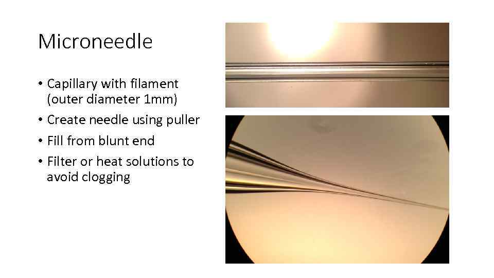 Microneedle • Capillary with filament (outer diameter 1 mm) • Create needle using puller
