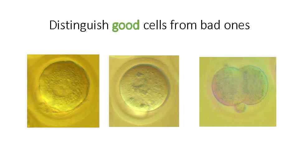 Distinguish good cells from bad ones 