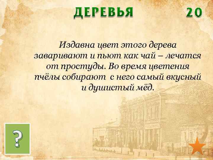 Издавна цвет этого дерева заваривают и пьют как чай – лечатся от простуды. Во