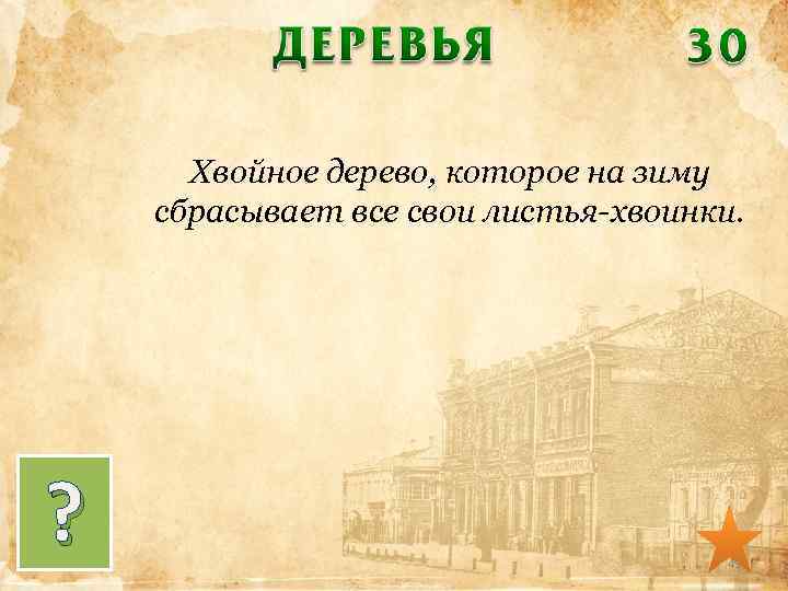 Хвойное дерево, которое на зиму сбрасывает все свои листья-хвоинки. ? 49 