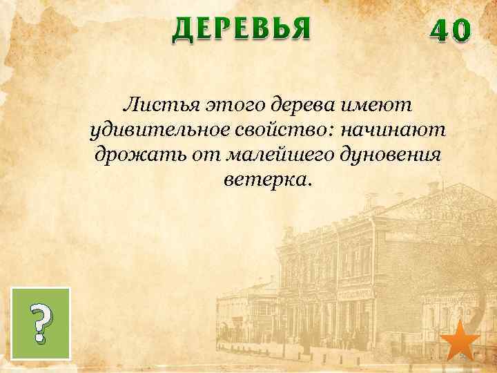 Листья этого дерева имеют удивительное свойство: начинают дрожать от малейшего дуновения ветерка. ? 50