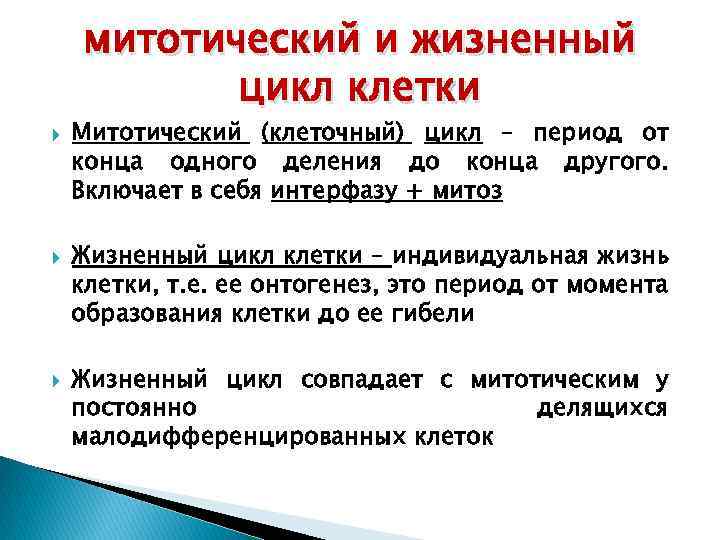 Периоды цикла. Жизненный и митотический цикл клетки. Клеточный и митотический циклы. Митотический цикл периоды. Жизненный цикл и митотический цикл.