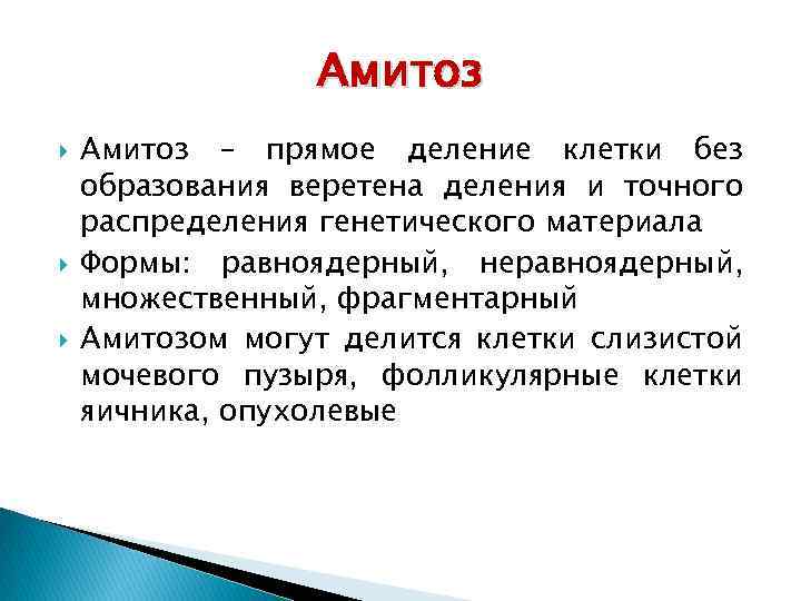 Амитоз Амитоз – прямое деление клетки без образования веретена деления и точного распределения генетического