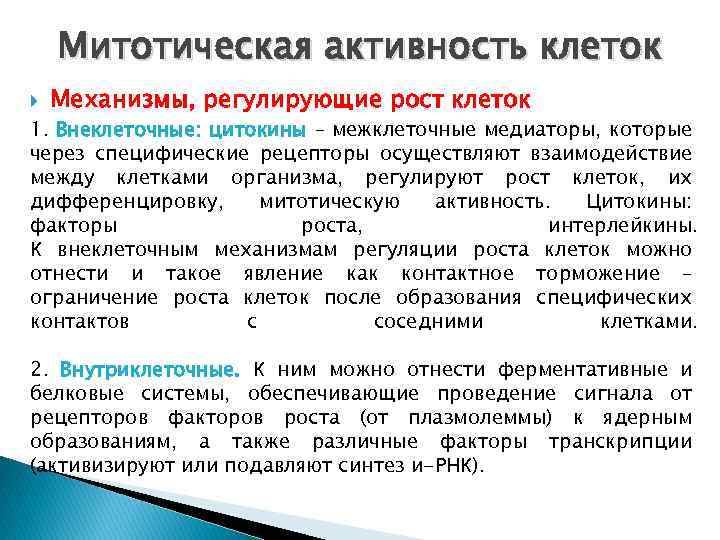 Митотическая активность клеток Механизмы, регулирующие рост клеток 1. Внеклеточные: цитокины – межклеточные медиаторы, которые