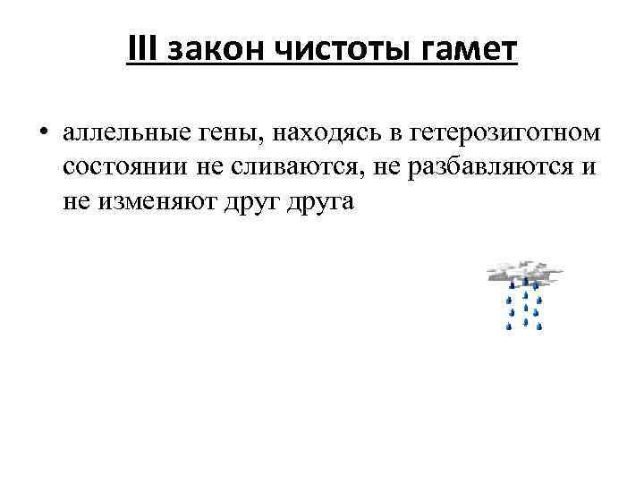 III закон чистоты гамет • аллельные гены, находясь в гетерозиготном состоянии не сливаются, не