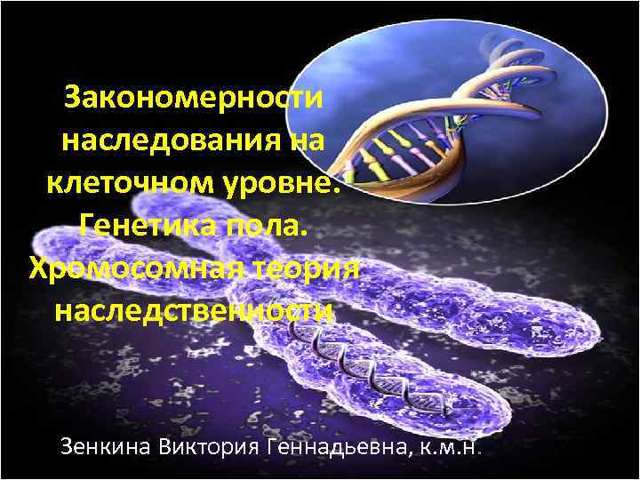 Генетическое поле. Закономерности наследственности на клеточном уровне. Закономерности наследственных клеток. Носитель наследственности на клеточном уровне.