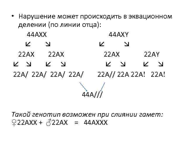  • Нарушение может происходить в эквационном делении (по линии отца): 44 АХХ 44