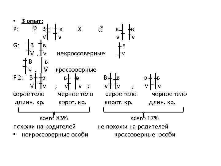  • 3 опыт: Р: ♀ В в Х ♂ в в V v