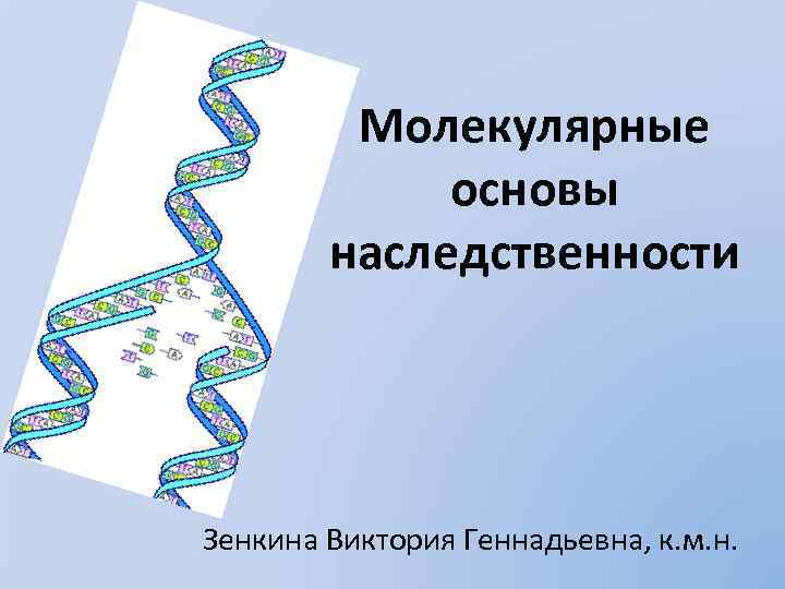 Молекулярные основы наследственности Зенкина Виктория Геннадьевна, к. м. н. 