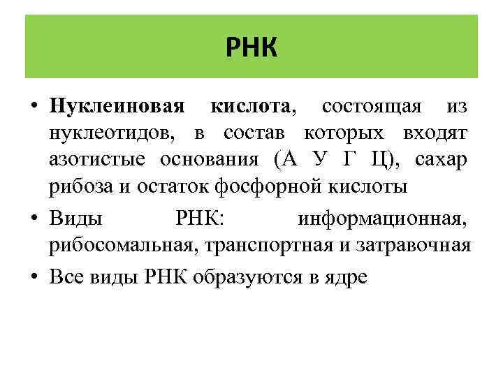 РНК • Нуклеиновая кислота, состоящая из нуклеотидов, в состав которых входят азотистые основания (А