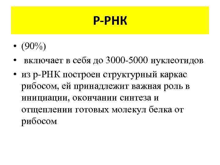 Р-РНК • (90%) • включает в себя до 3000 -5000 нуклеотидов • из р-РНК
