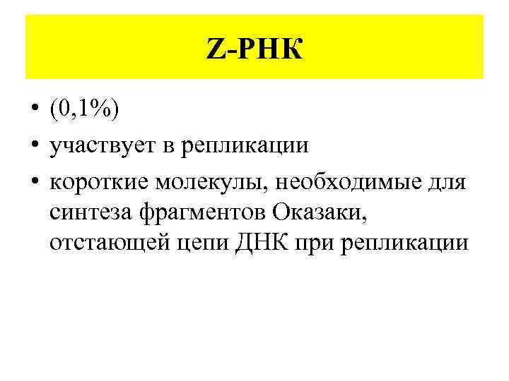 Z-РНК • (0, 1%) • участвует в репликации • короткие молекулы, необходимые для синтеза