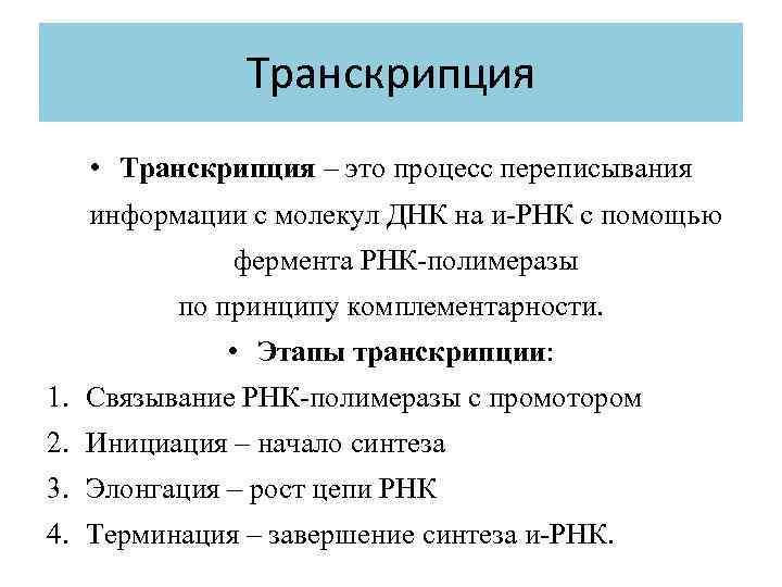 Транскрипция • Транскрипция – это процесс переписывания информации с молекул ДНК на и-РНК с
