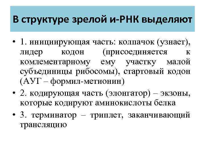 В структуре зрелой и-РНК выделяют • 1. инициирующая часть: колпачок (узнает), лидер кодон (присоединяется