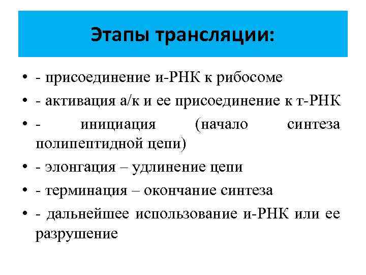 Этапы трансляции: • - присоединение и-РНК к рибосоме • - активация а/к и ее