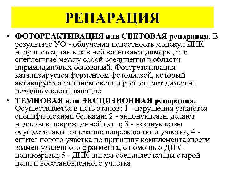РЕПАРАЦИЯ • ФОТОРЕАКТИВАЦИЯ или СВЕТОВАЯ репарация. В результате УФ - облучения целостность молекул ДНК