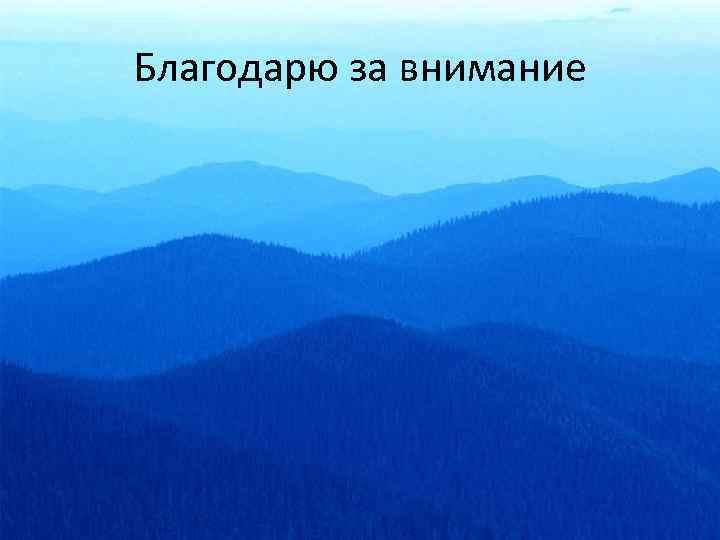 Благодарю за внимание 