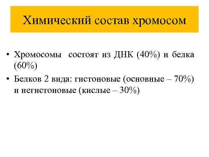 Химический состав хромосом • Хромосомы состоят из ДНК (40%) и белка (60%) • Белков