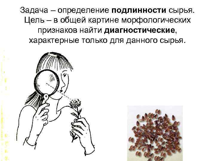 Задача – определение подлинности сырья. Цель – в общей картине морфологических признаков найти диагностические,