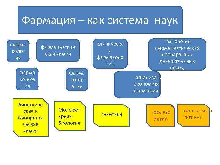 Фармация – как система наук фарма колог ия фармацевтиче ская химия фарма когноз ия