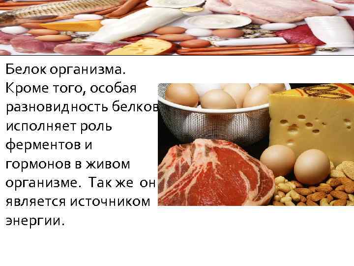 Белок для организма