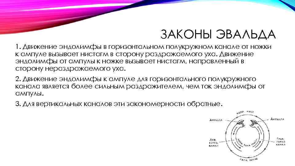 ЗАКОНЫ ЭВАЛЬДА 1. Движение эндолимфы в горизонтальном полукружном канале от ножки к ампуле вызывает