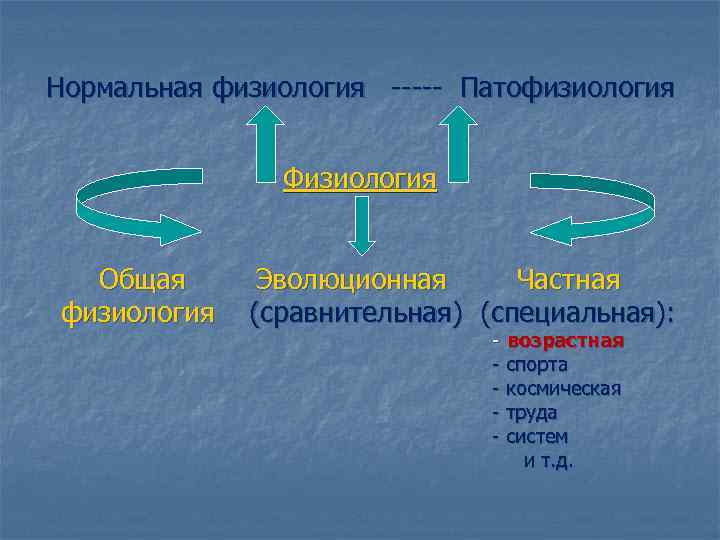 Нормальная физиология ----- Патофизиология Физиология Общая физиология Эволюционная Частная (сравнительная) (специальная): - возрастная -