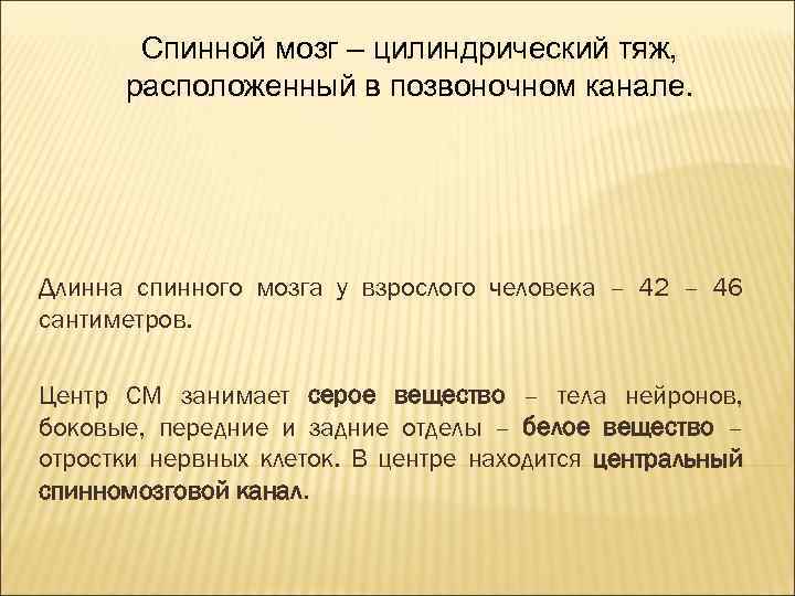 Спинной мозг – цилиндрический тяж, расположенный в позвоночном канале. Длинна спинного мозга у взрослого