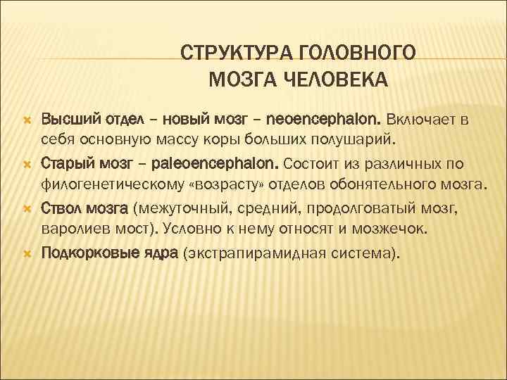 СТРУКТУРА ГОЛОВНОГО МОЗГА ЧЕЛОВЕКА Высший отдел – новый мозг – neoencephalon. Включает в себя
