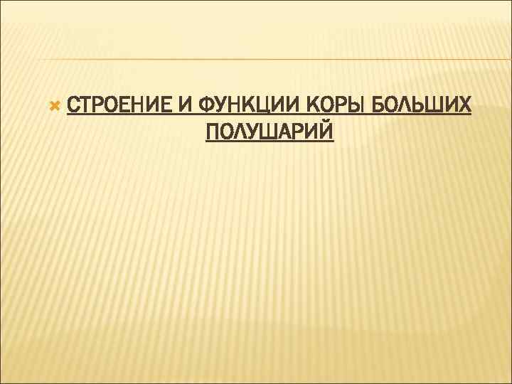  СТРОЕНИЕ И ФУНКЦИИ КОРЫ БОЛЬШИХ ПОЛУШАРИЙ 