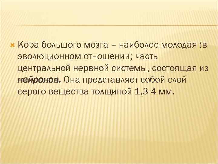  Кора большого мозга – наиболее молодая (в эволюционном отношении) часть центральной нервной системы,