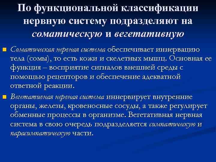 По функциональной классификации нервную систему подразделяют на соматическую и вегетативную n n Соматическая нервная