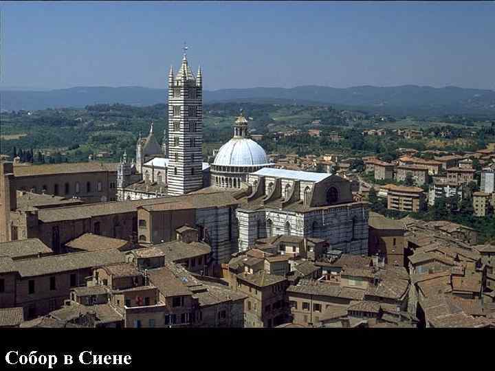 Собор в Сиене 