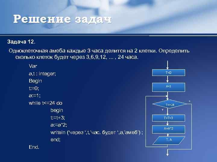 Решение задач Задача 12. Одноклеточная амеба каждые 3 часа делится на 2 клетки. Определить