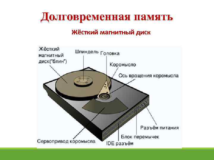 Долговременная память Жёсткий магнитный диск 