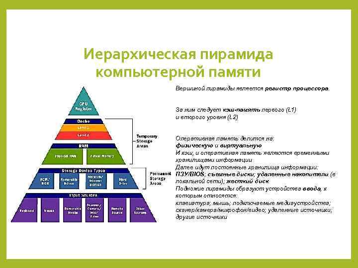 Иерархическая пирамида компьютерной памяти Вершиной пирамиды является регистр процессора. За ним следует кэш-память первого