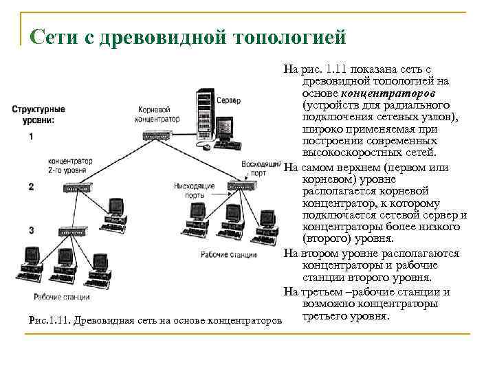Сети с древовидной топологией На рис. 1. 11 показана сеть с древовидной топологией на
