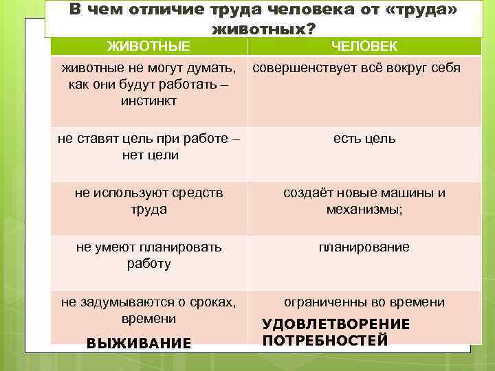 Труд в отличие от общения. Отличие труда человека от животного. Труд и деятельность различия. Отличия деятельности животного от труда человека. Отличие человеческой деятельности от животных.